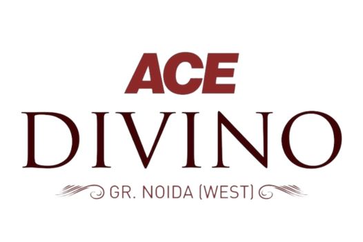 ace divino logo